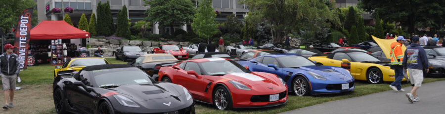 corvettes